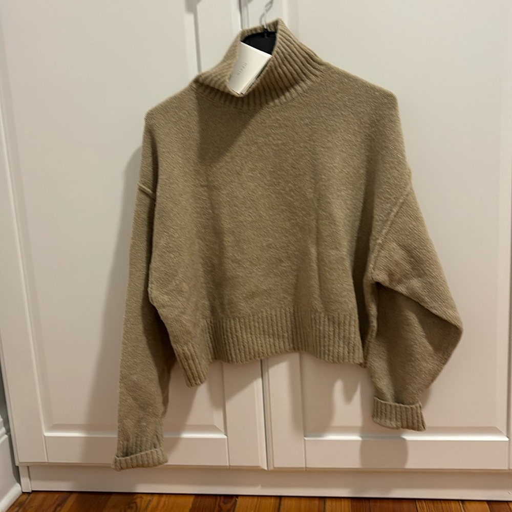 NWT DISSH oatmeal colored turtleneck